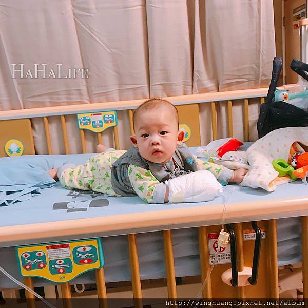 S__23060552.jpg S__23060552.jpg