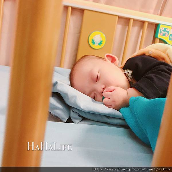 S__23060553.jpg S__23060553.jpg