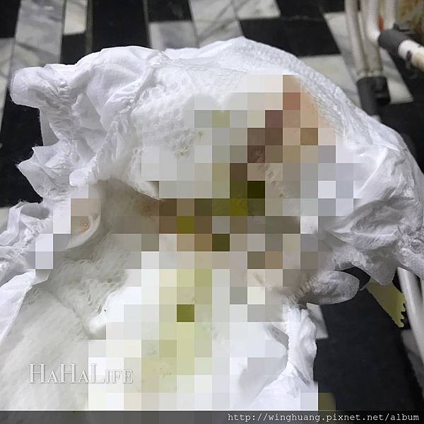 S__23060556.jpg S__23060556.jpg