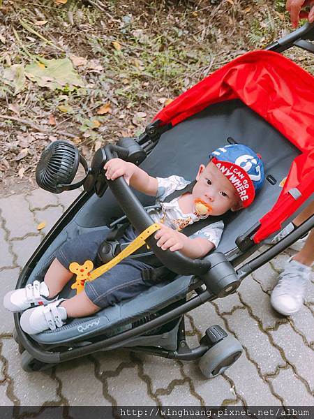 IMG_8219.JPG IMG_8219.JPG