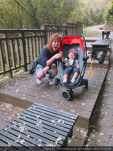 IMG_8241.JPG IMG_8241.JPG