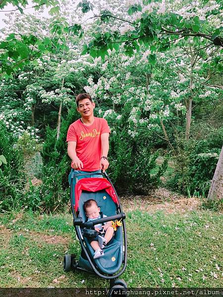 IMG_8466.JPG IMG_8466.JPG