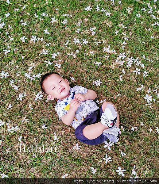 IMG_8549.JPG IMG_8549.JPG