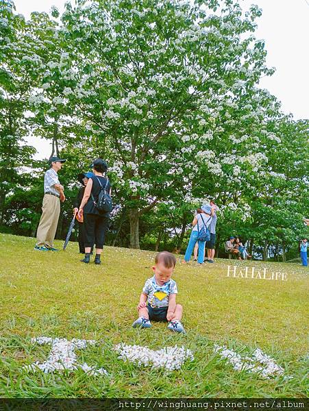 IMG_8552.JPG IMG_8552.JPG