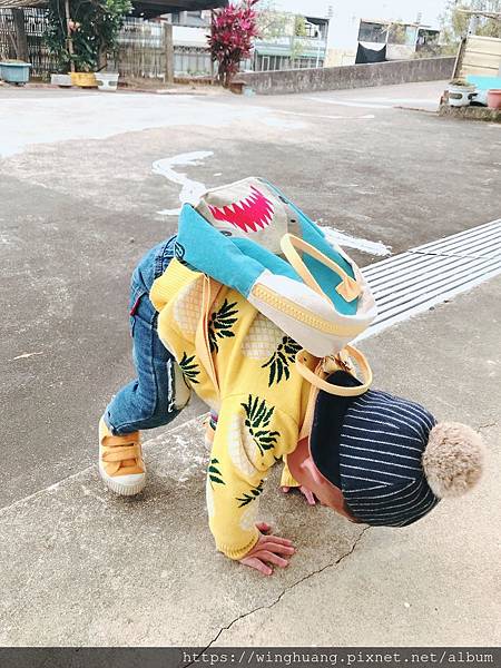 IMG_6474.jpg IMG_6474.jpg