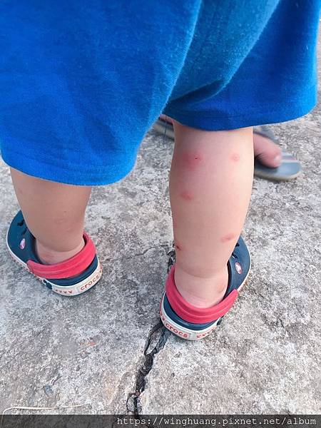 S__41451634.jpg S__41451634.jpg