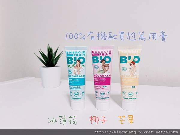 IMG_4339.jpg IMG_4339.jpg