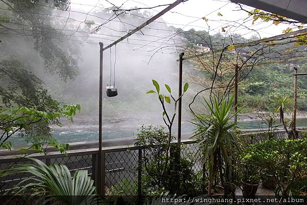 DSC06694.JPG DSC06694.JPG