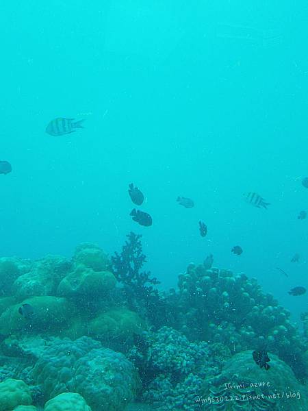 [食記] 馬爾地夫 5.8海底餐廳．坐擁絕美海景用餐