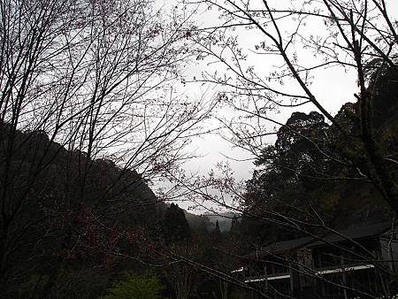 1030313杉林溪森林生態渡假園區 1030313杉林溪森林生態渡假園區