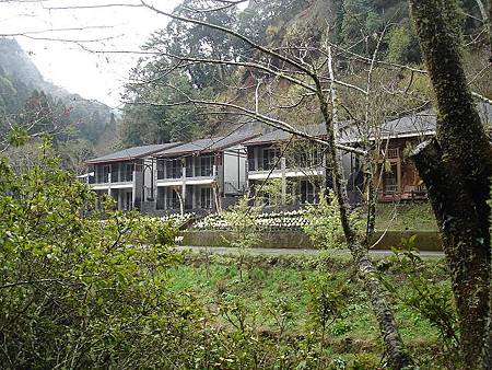 1030313杉林溪森林生態渡假園區 1030313杉林溪森林生態渡假園區