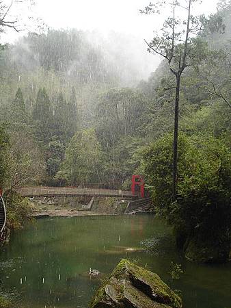 1030313杉林溪森林生態渡假園區 1030313杉林溪森林生態渡假園區