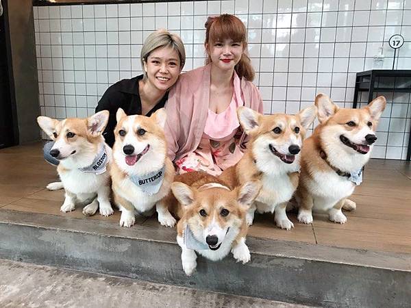 84209971_588227605059161_8370393473194393600_n 84209971_588227605059161_8370393473194393600_n