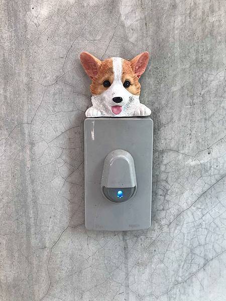 85256075_3037602176468983_959599872653131776_n 85256075_3037602176468983_959599872653131776_n