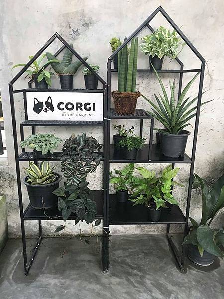 86276767_633073987453351_6898218966347415552_n 86276767_633073987453351_6898218966347415552_n