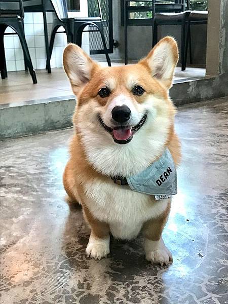 85164884_1226904610839865_4601240018013388800_n 85164884_1226904610839865_4601240018013388800_n