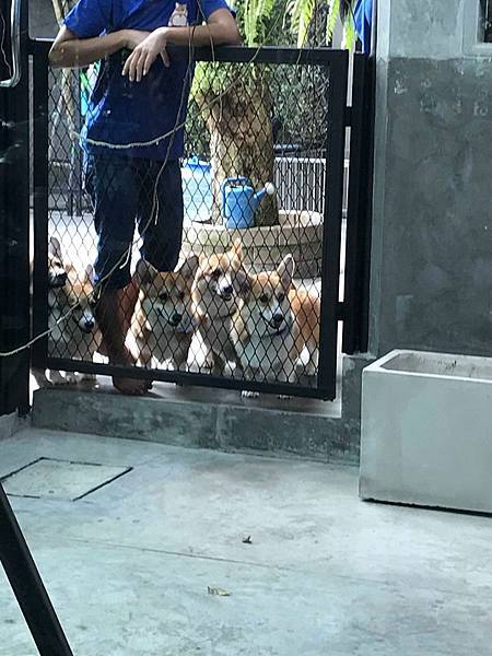 86223929_185997305972120_2631897001972727808_n 86223929_185997305972120_2631897001972727808_n