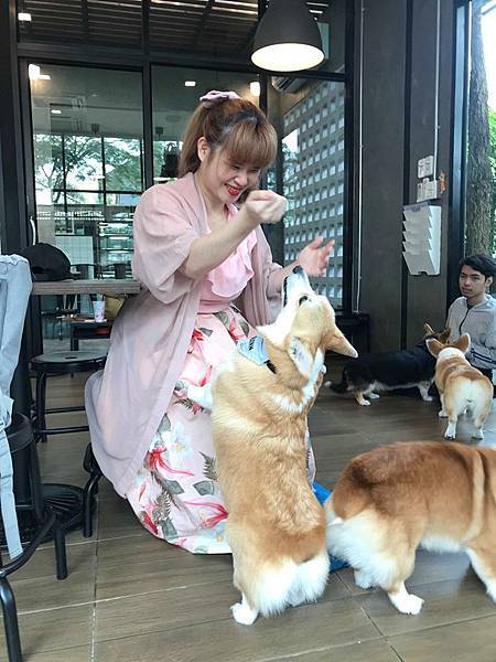 86260092_614910989305910_812956048351559680_n 86260092_614910989305910_812956048351559680_n