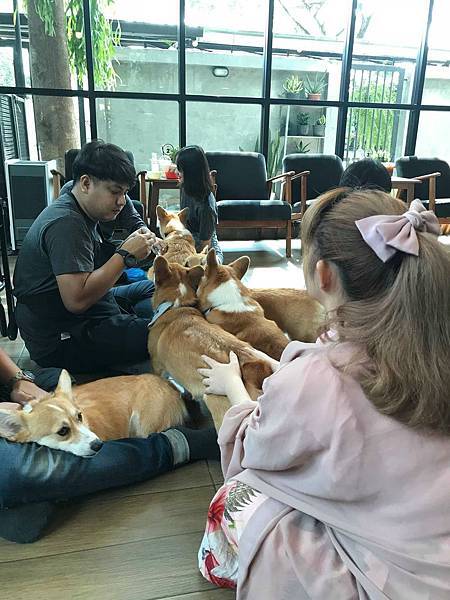 86299564_497929274464055_4893151799613063168_n 86299564_497929274464055_4893151799613063168_n