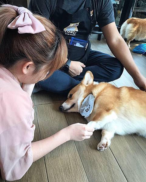 86190630_227155461648203_7722824447769444352_n 86190630_227155461648203_7722824447769444352_n