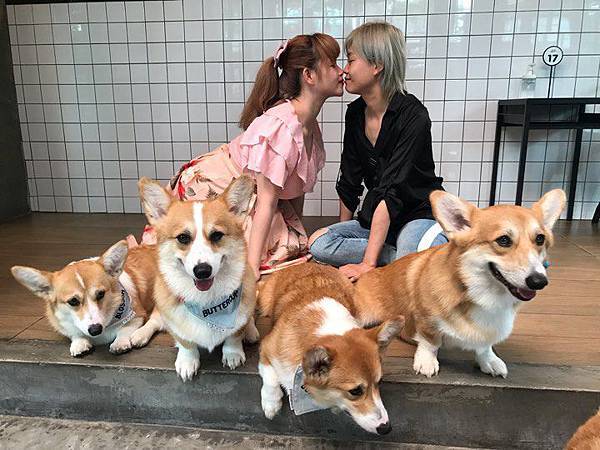 86180369_190115782359721_8133673185284456448_n 86180369_190115782359721_8133673185284456448_n