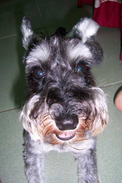 2007.06.21琪 (13).jpg