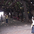 通樑古道