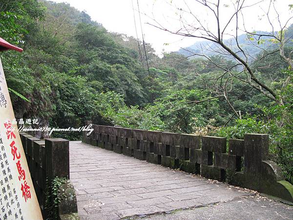 草嶺古道-跌死馬橋.JPG