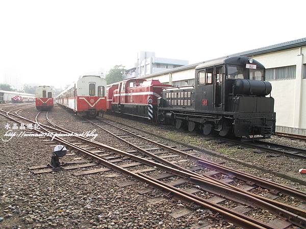 阿里山森林鐵路車庫園區- (7).JPG