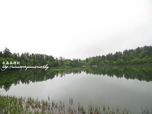 日本稚內 利尻島 -姬沼 (2)