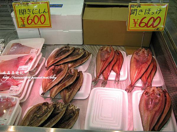 日本北海道紀念品 -生鮮花魚