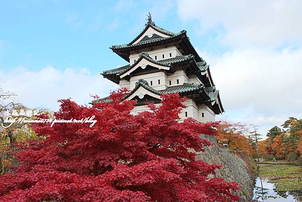 日本青森 弘前城 (1)