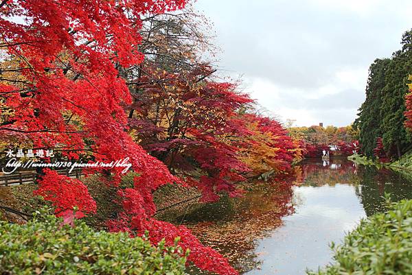 日本青森 弘前城 (7)  