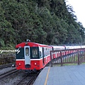 阿里山五奇-火車 (1)
