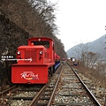 Rail Park 鐵道自行車 (16).JPG