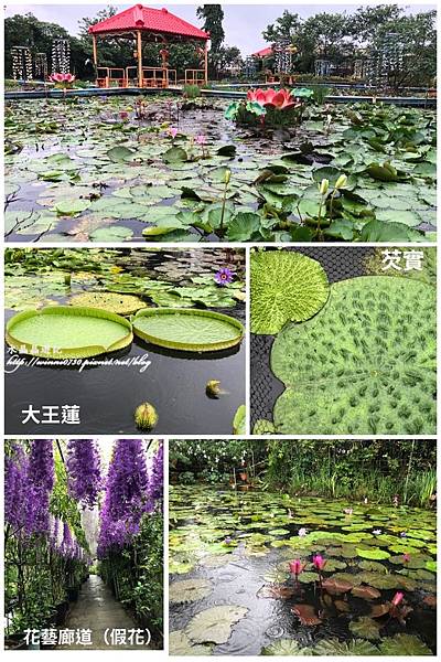 九品蓮花園2.jpg