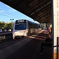 IMG_1926