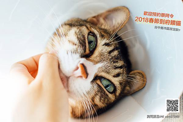 _CAT5841 copy.jpg _CAT5841 copy.jpg