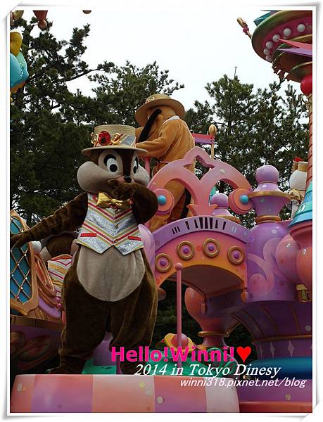 PhotoCap_060.jpg