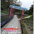 SAM_1157