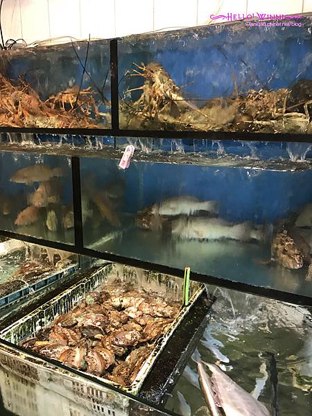 2017-09-10 13.36.18.jpg