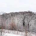 後院雪景