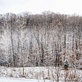 2012MN121208-001-5