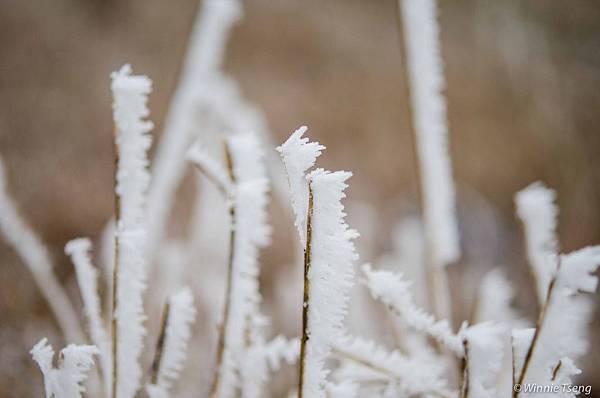 2012MN121217-007-36