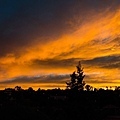 2013 San Miguel-056-6
