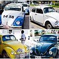 Beetle