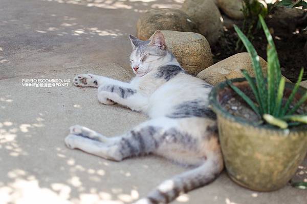 2013 Puerto Escondido MX-083-67