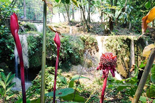 2013 April Chiapas MX-005-85