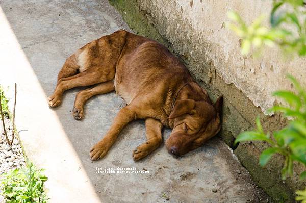 2013 May San Pedro Guat-019-54
