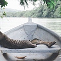 2013 July Rio Dulce Guat-008-22.jpg